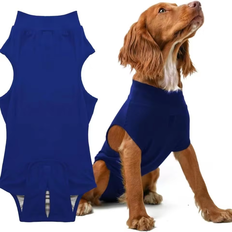 Pet sterilization suit wound anti licking suit suitable for all body types of dogs surgical recovery clothing set 